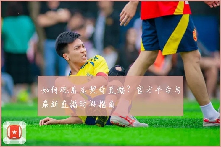 如何观看东契奇直播?官方平台与最新直播时间指南